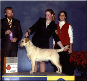 Bella takes Winners Bitch - Ladies Dog Club for 2 points!